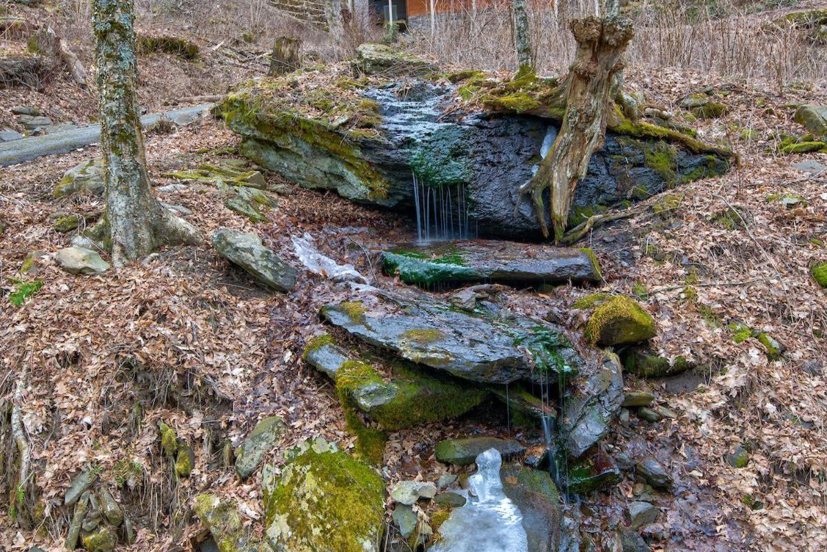 Rested Traveler Blowing Rock Buitenkant foto